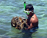 UP-marine-sanctuary